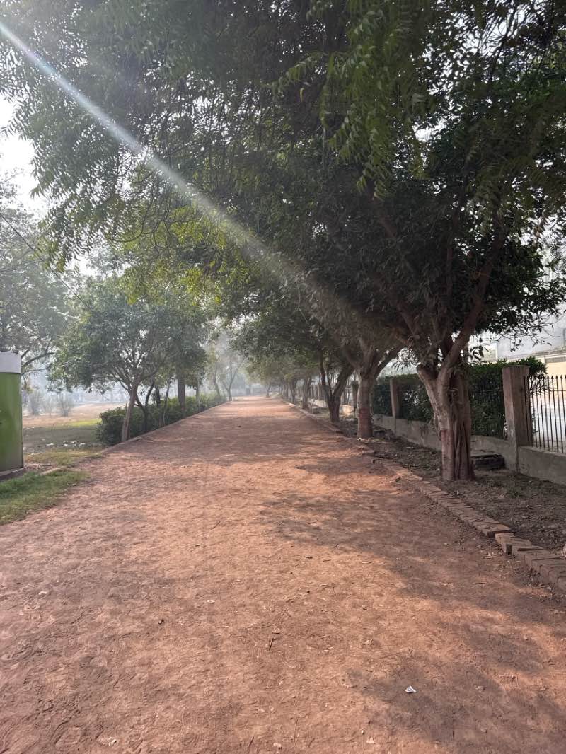 walking near me in Jinnah Park in winter