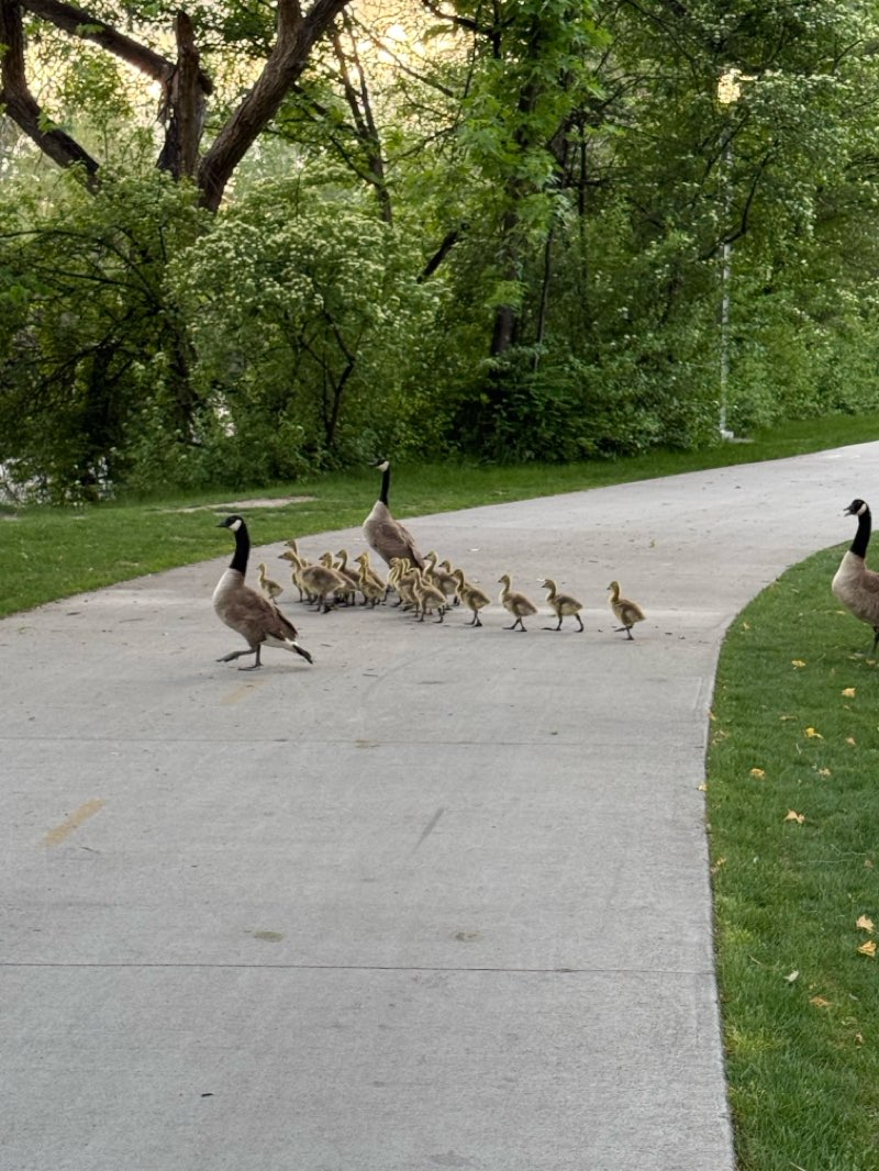 walking near me in Ann Morrison Park in spring
