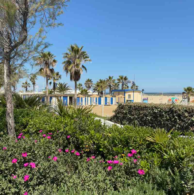 attilio.serpa post 2