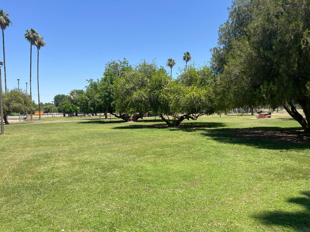 walking near me in Daley Park in summer