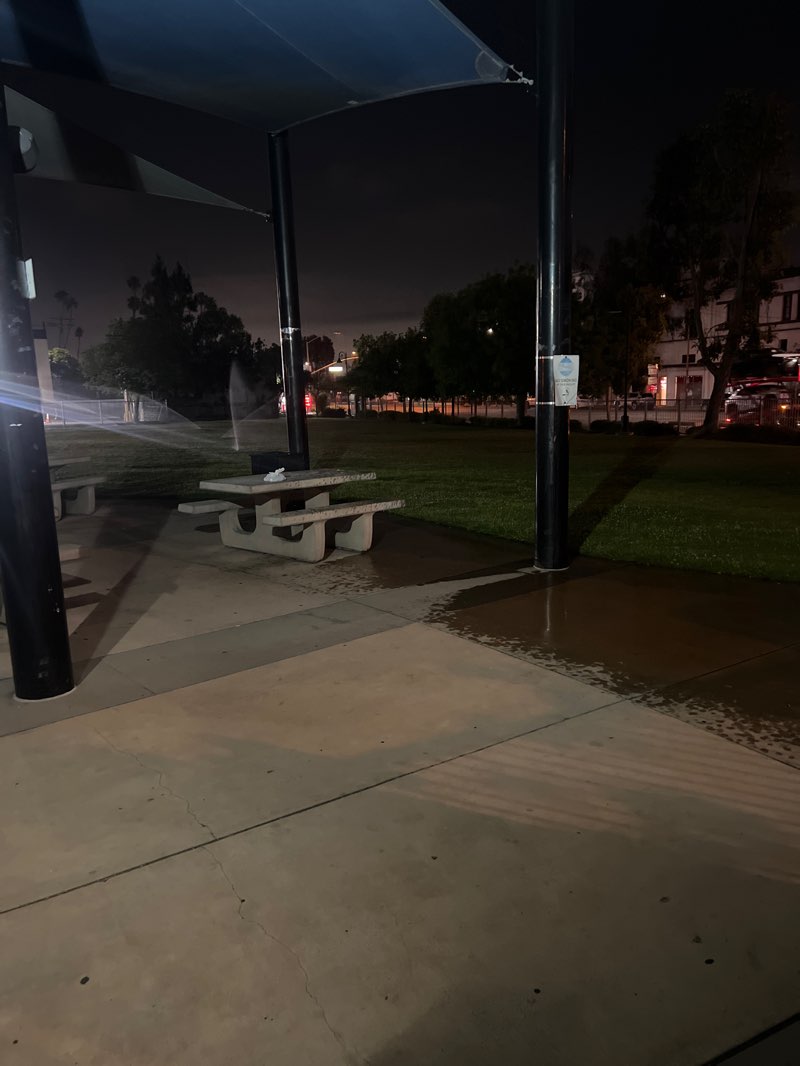 walking near me in Cerritos Park in summer