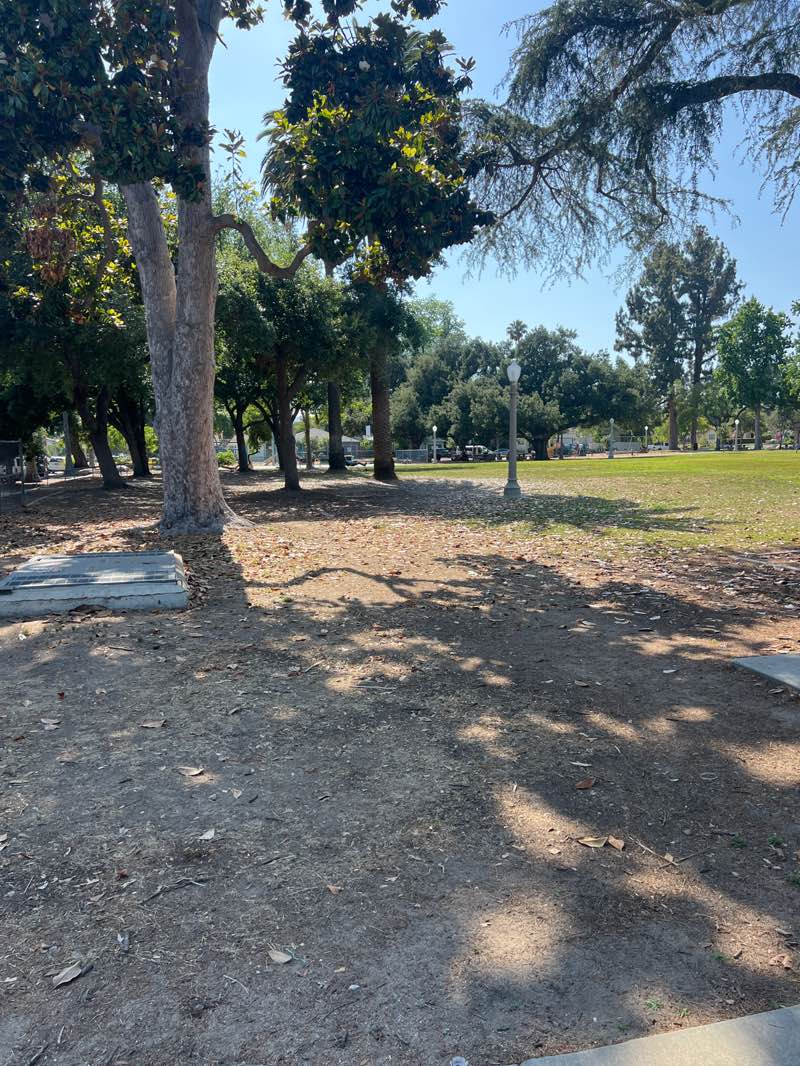 walking near me in Jefferson Park in summer