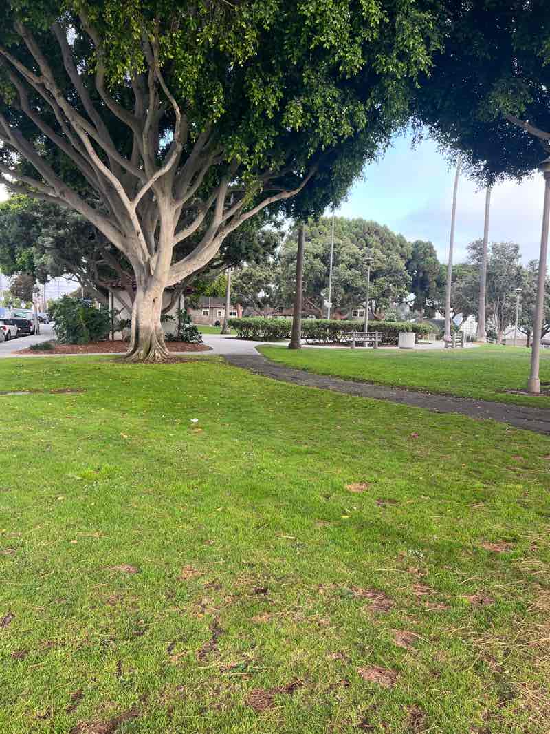 walking near me in Hotchkiss Park in summer