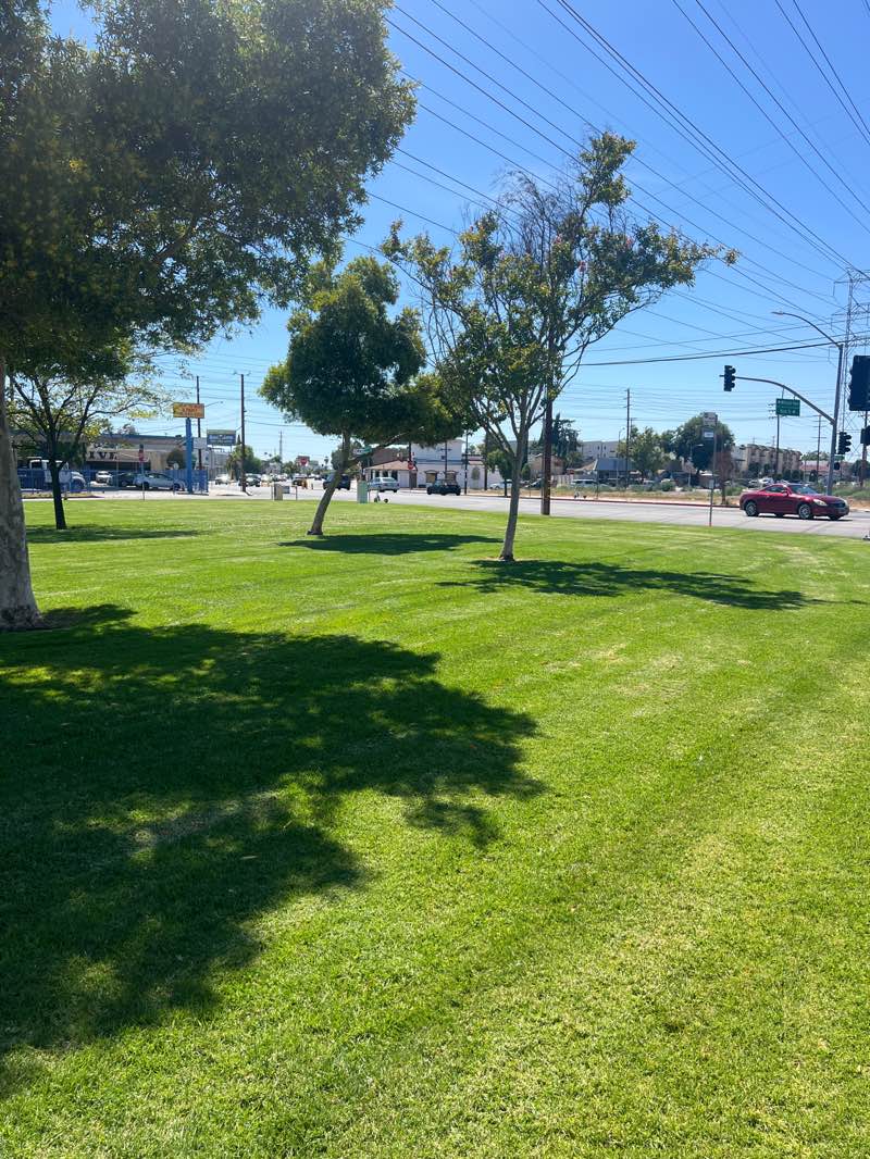 walking near me in Whitnall Highway Park North in summer