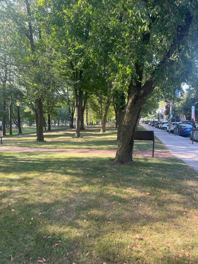 walking near me in Roger Williams National Monument in autumn