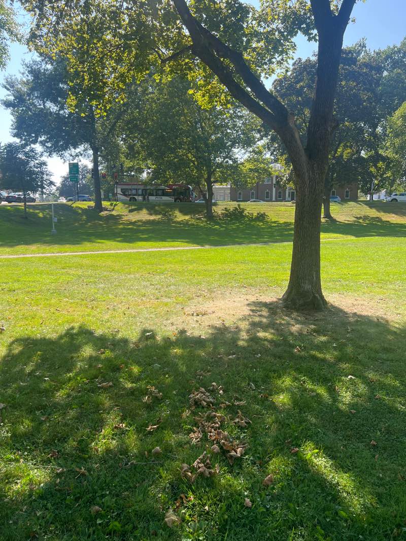 walking near me in Town Common in autumn