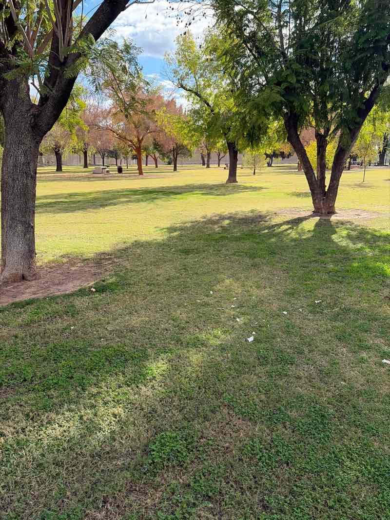 walking near me in Joyce Park in winter