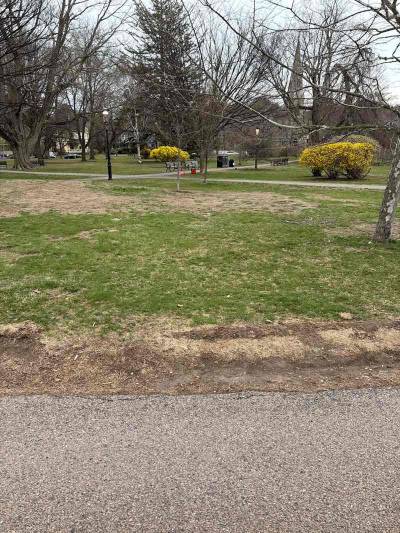 walking near me in Farlow Park in spring