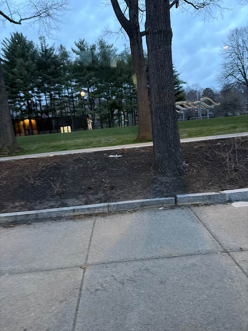 walking near me in Saltonstall Park in spring
