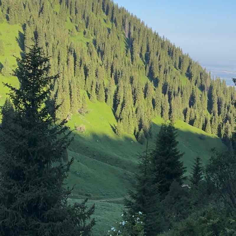 Colvir’s Club Gulzira Mykhayeva post image