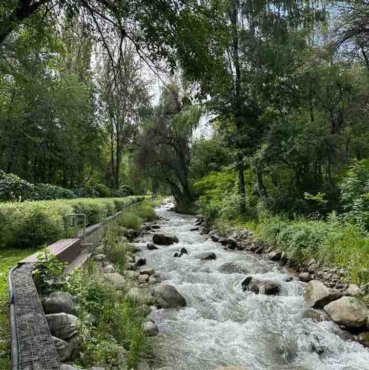 Colvir’s Club Gulzira Mykhayeva post image