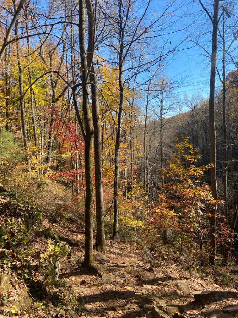 walking near me in Raven Cliffs Trailhead in autumn