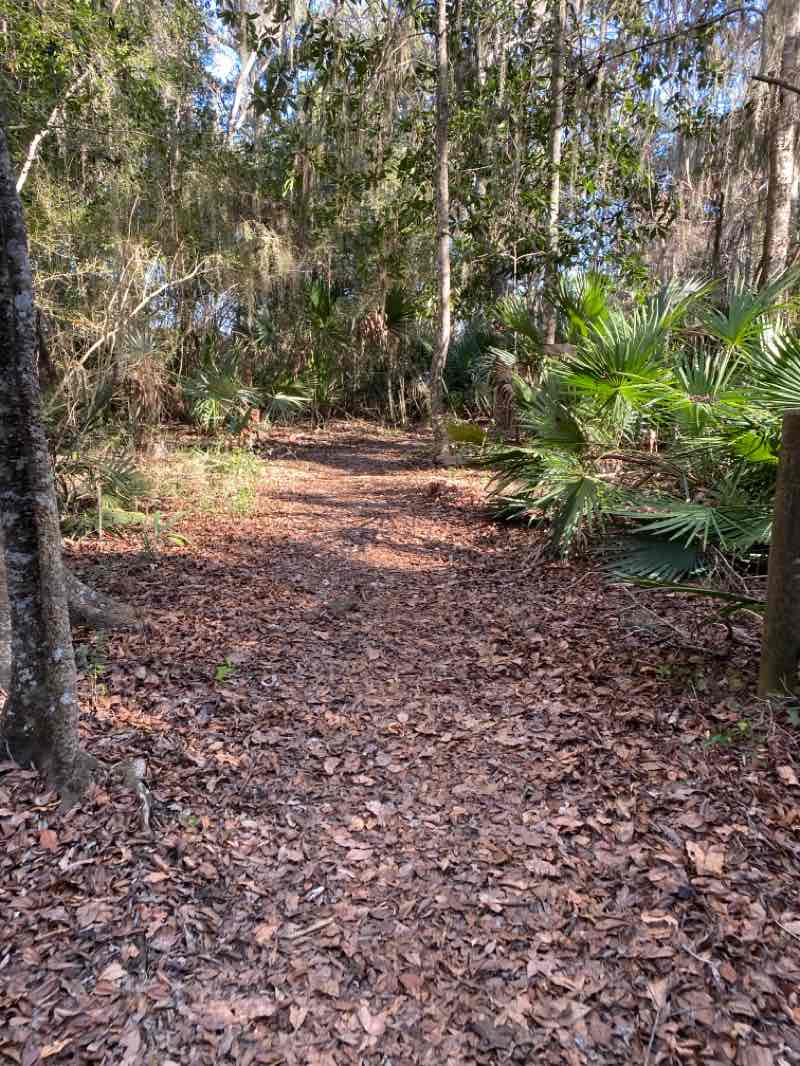 walking near me in Crooked River State Park in winter