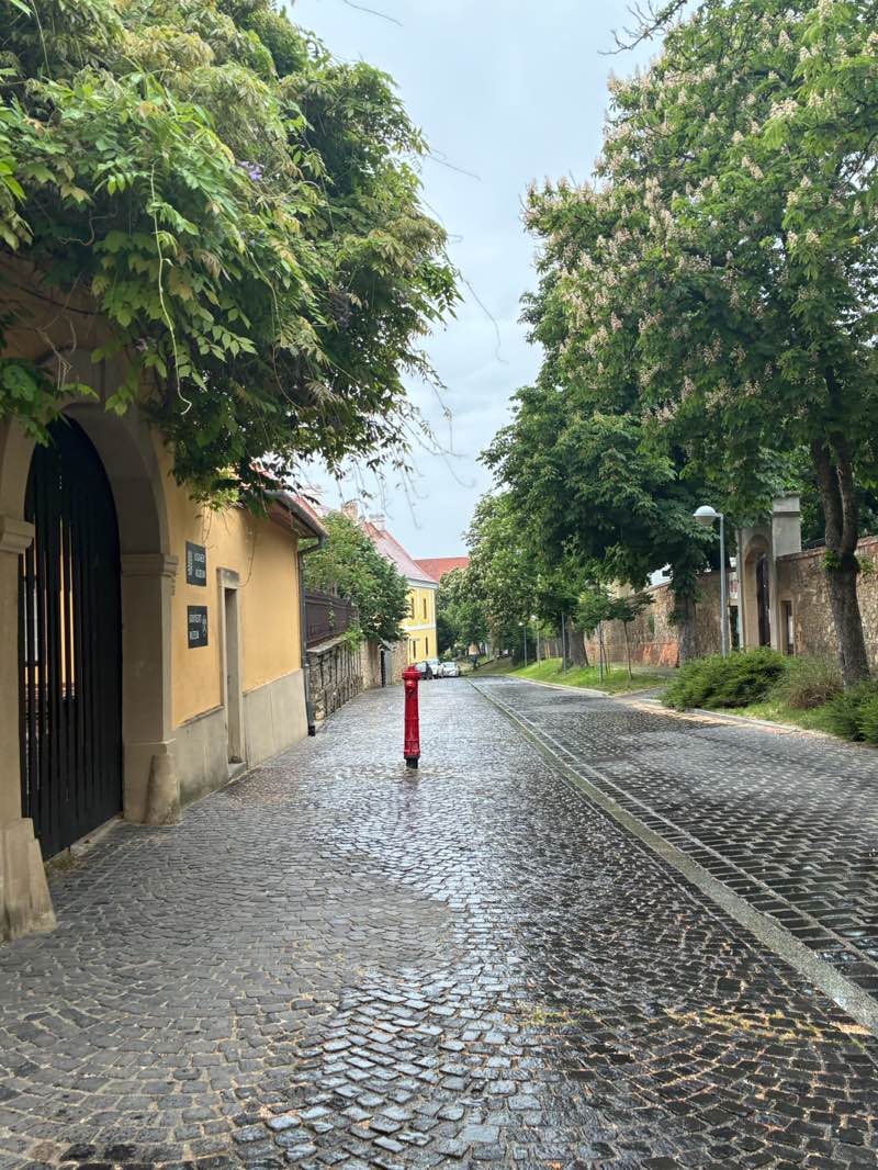 walking near me in Szent István tér in spring