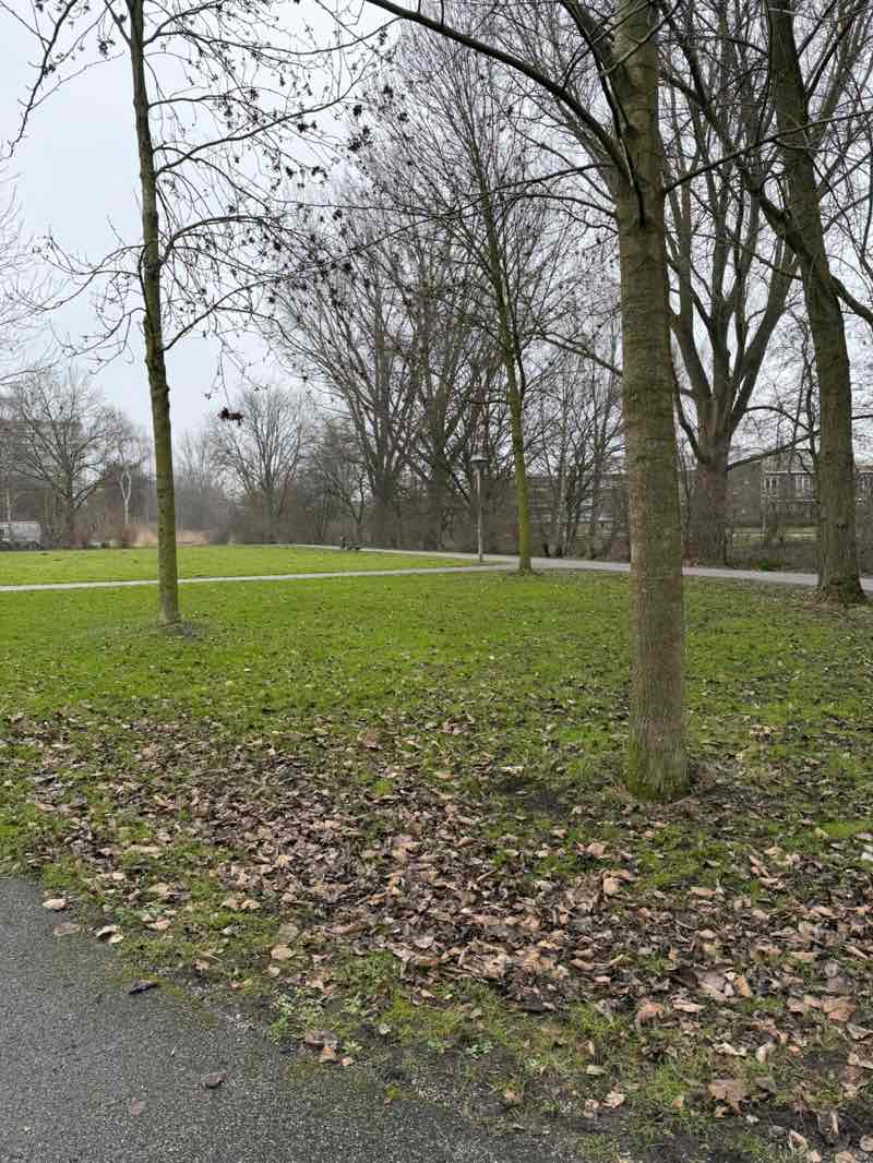 walking near me in Park De Groene Schakel in winter