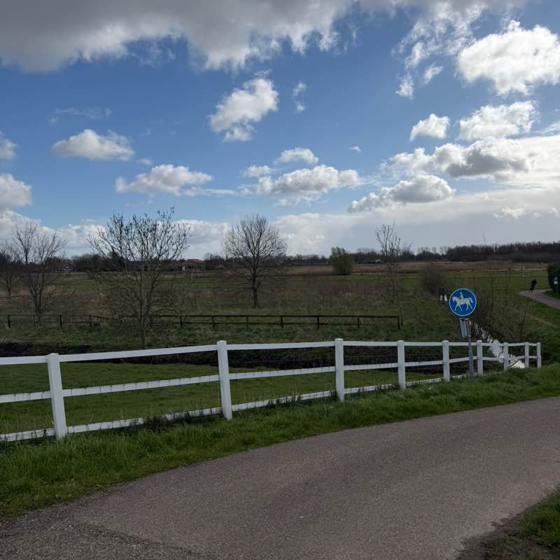 Rachelle.dnct post 1