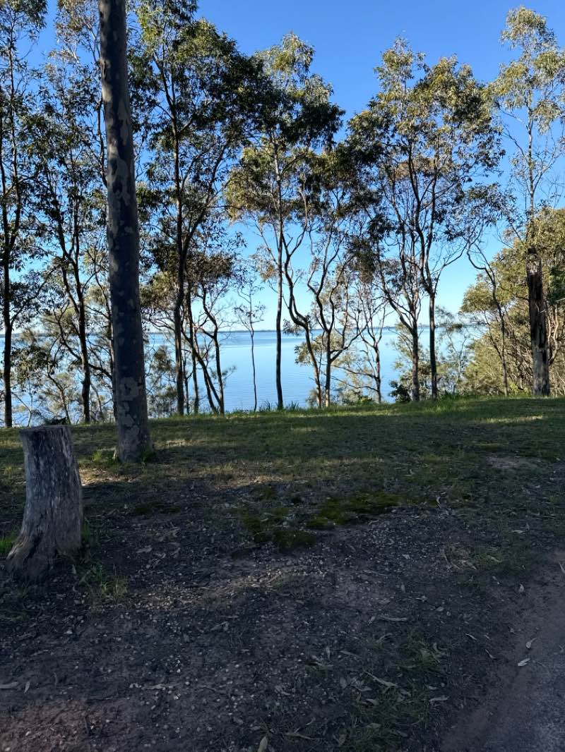 walking near me in Tuesday Street Park in autumn