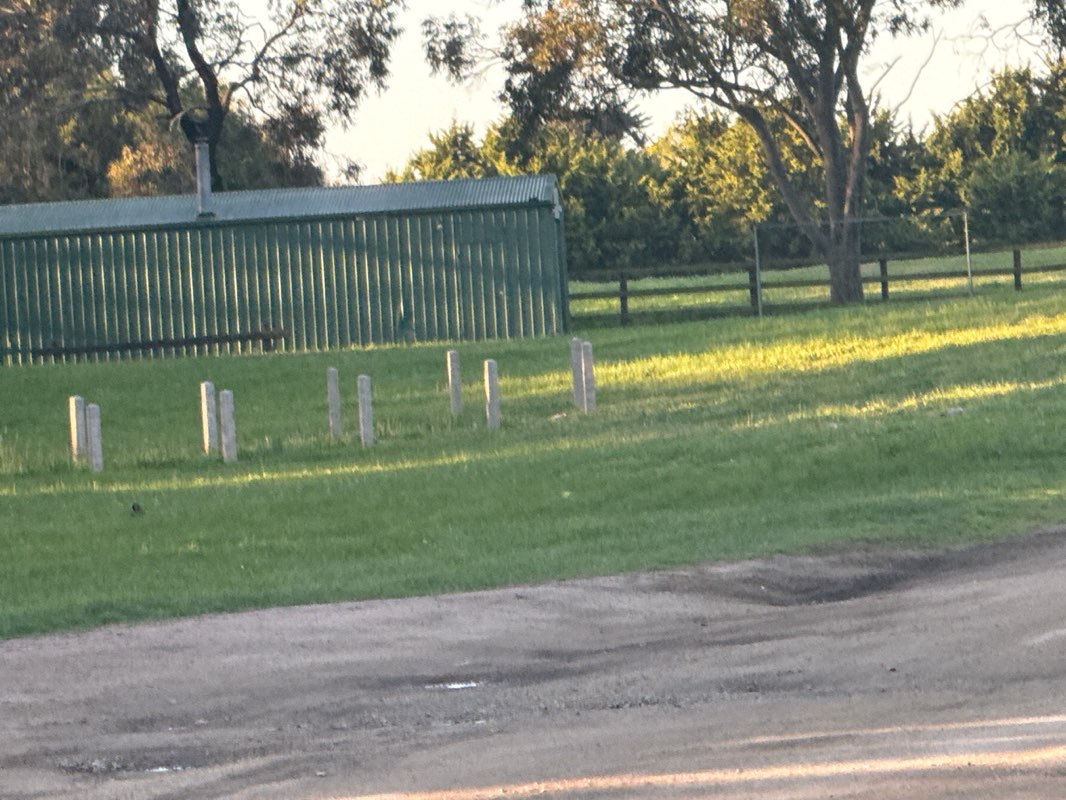 walking near me in Boneo Recreation Reserve in spring