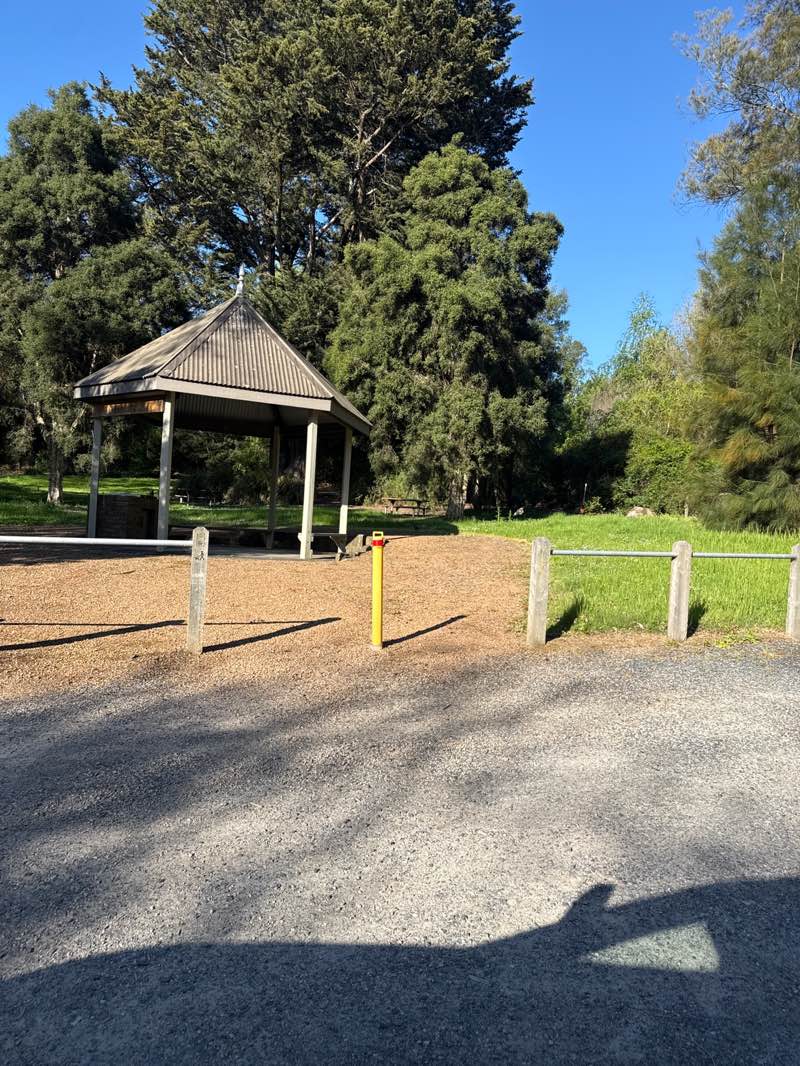 walking near me in Seville Centenary Park in spring