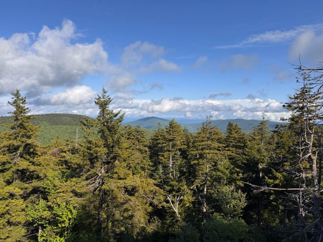 walking near me in Slide Mountain Wilderness in summer