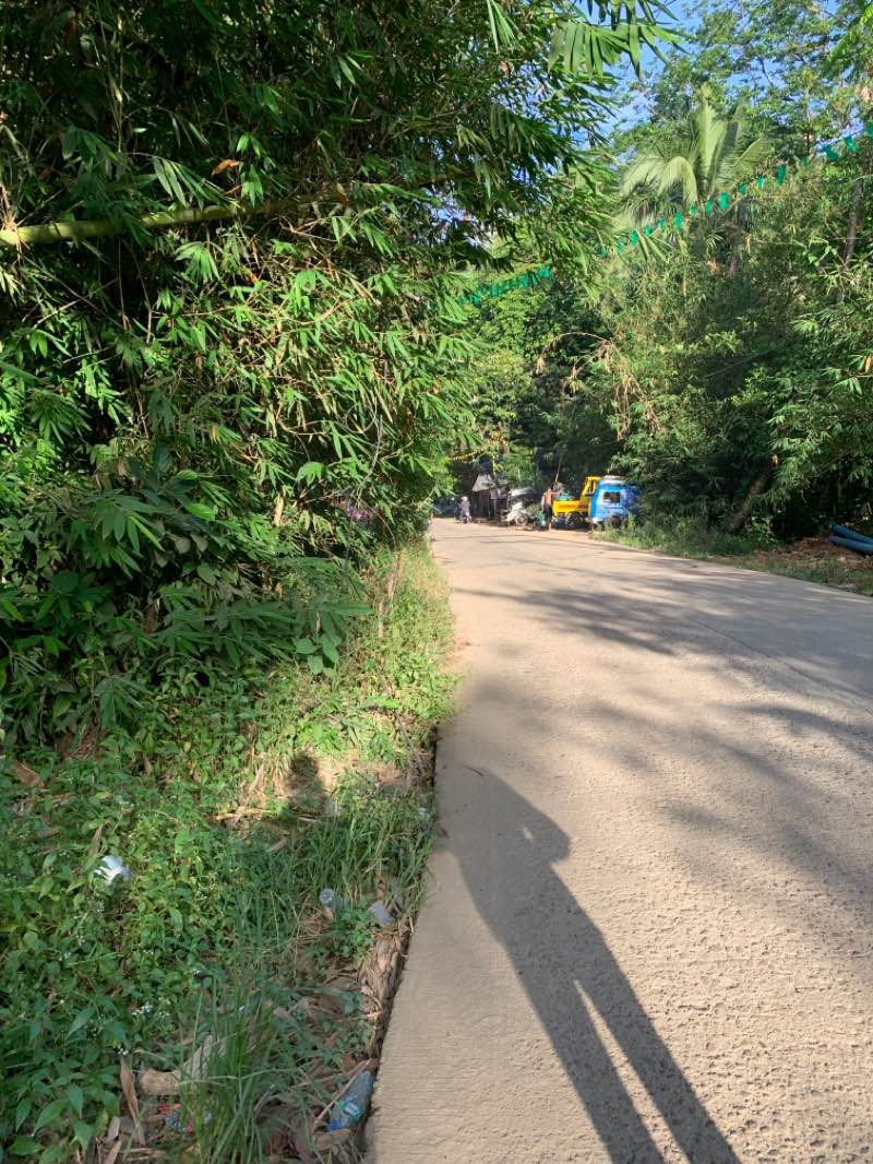 walking near me in Jose Panganiban Park in spring