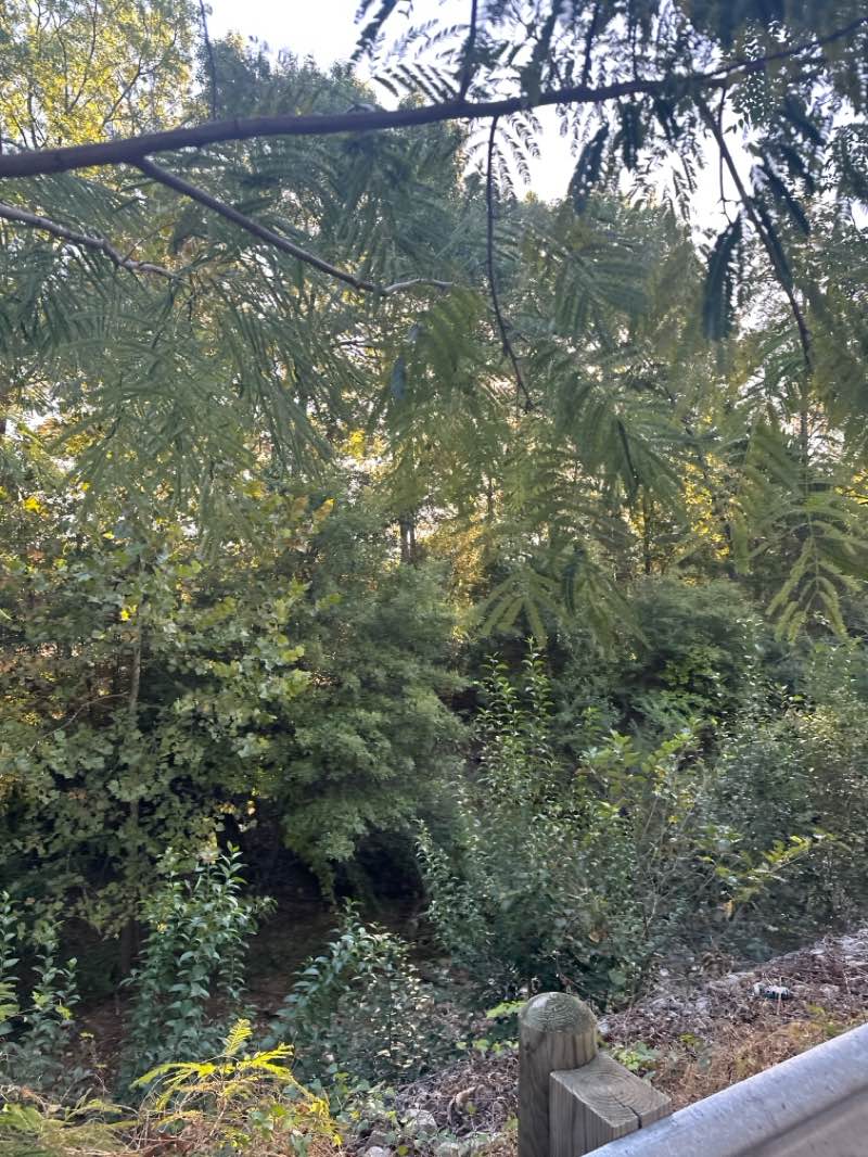 walking near me in Louis Nichols Park in autumn