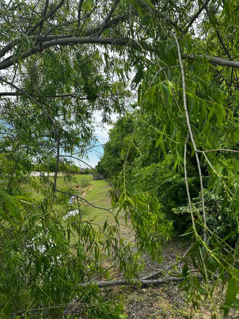 walking near me in Mansfield Sports Complex in spring