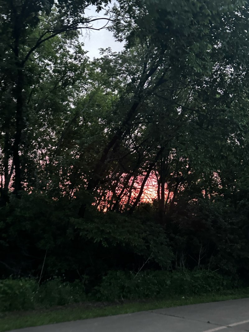 walking near me in Fish Creek Linear Park in spring