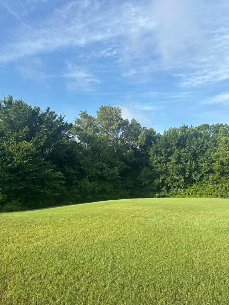 walking near me in McClendon Park East in summer