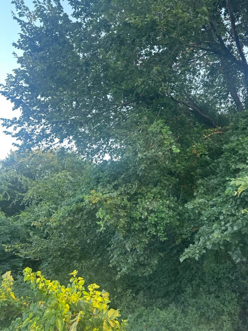 walking near me in Windmill Walking Park in autumn