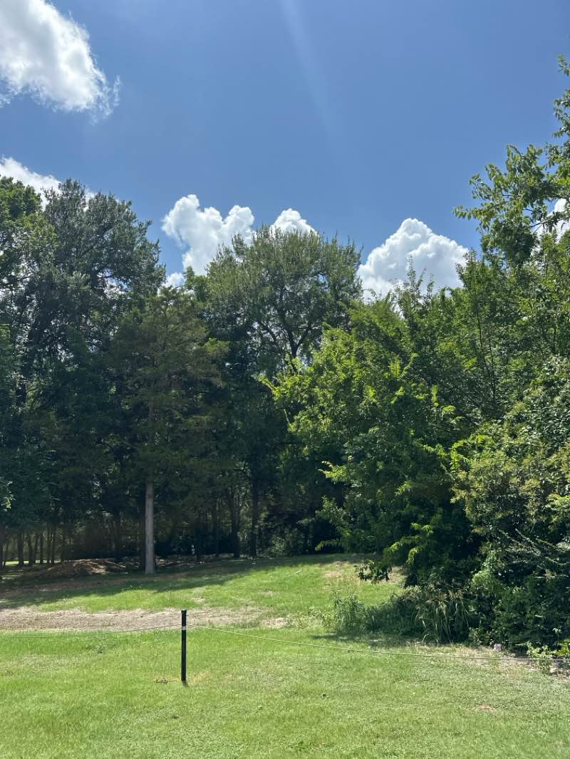 walking near me in Marcus Harrington Park in summer