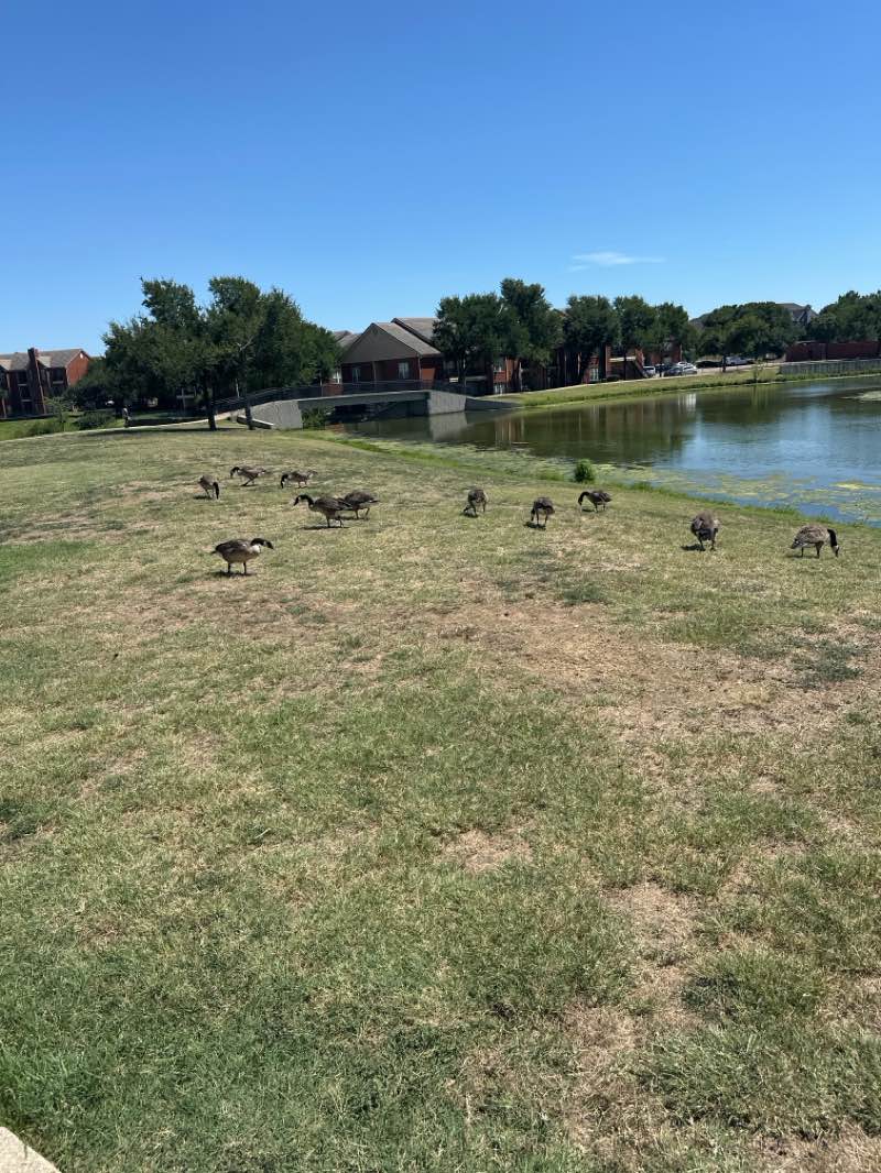 walking near me in Thomas Jefferson Park in autumn