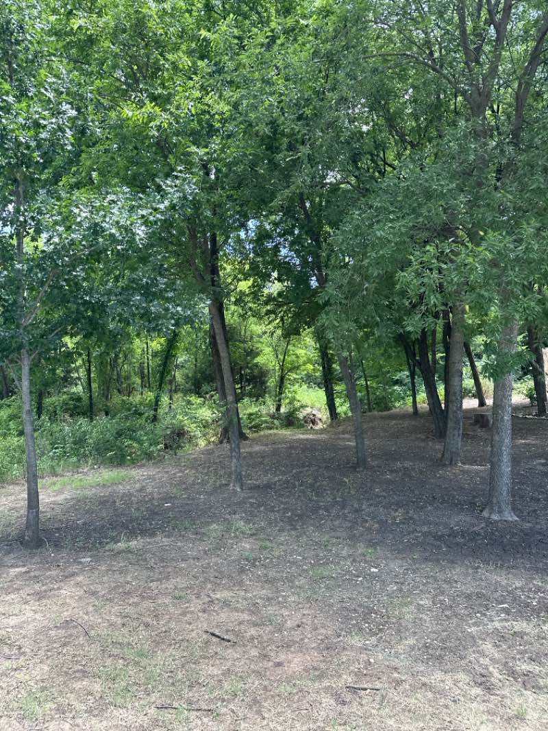 walking near me in Harold M. Bell Park in summer