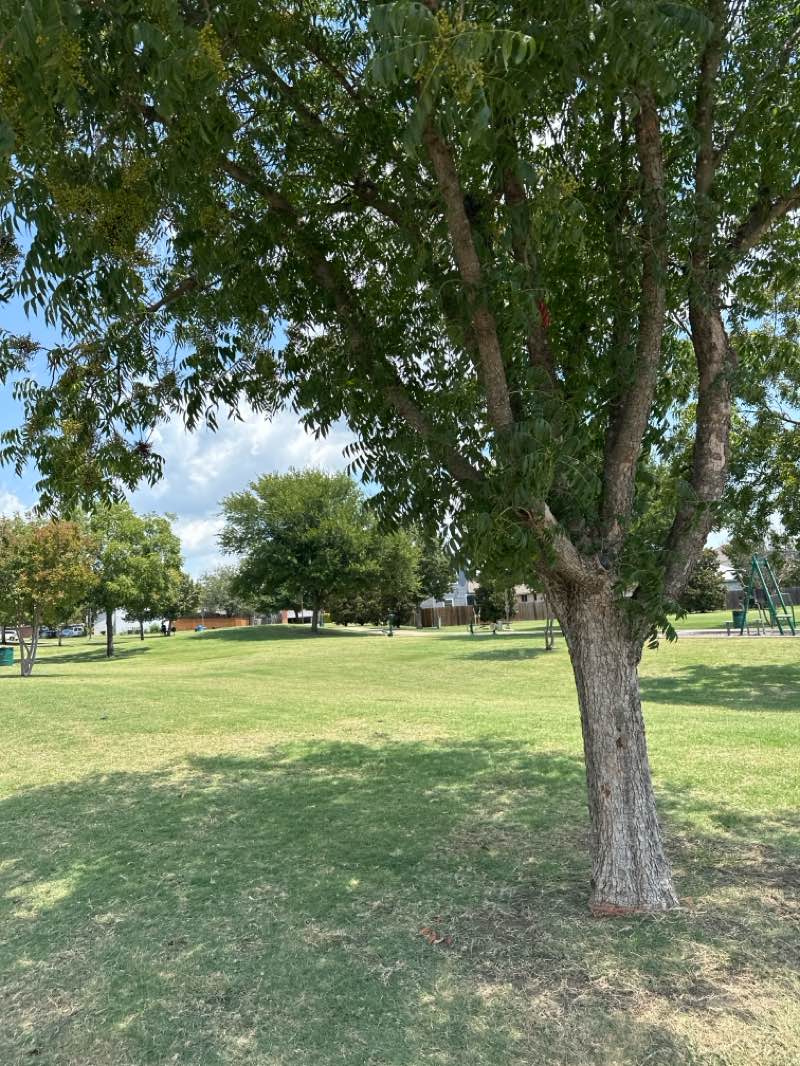 walking near me in Pyburn Park in autumn