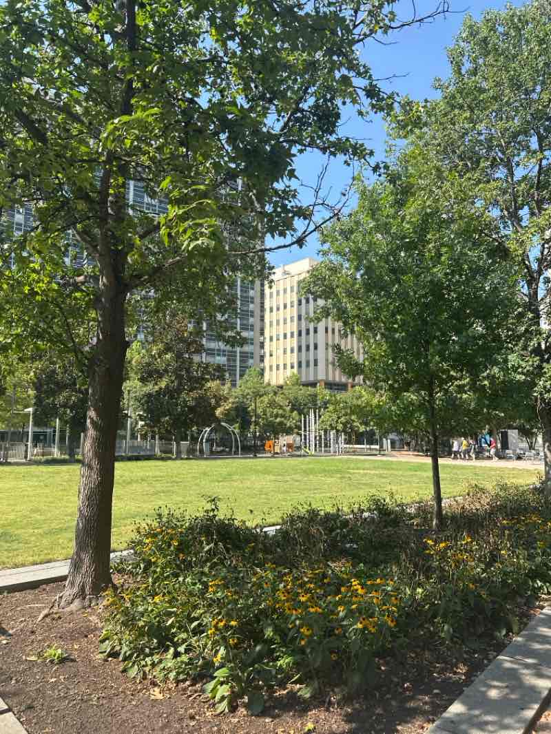 walking near me in Main Street Garden in autumn