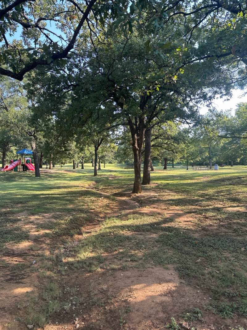 walking near me in Allan Saxe Park in autumn