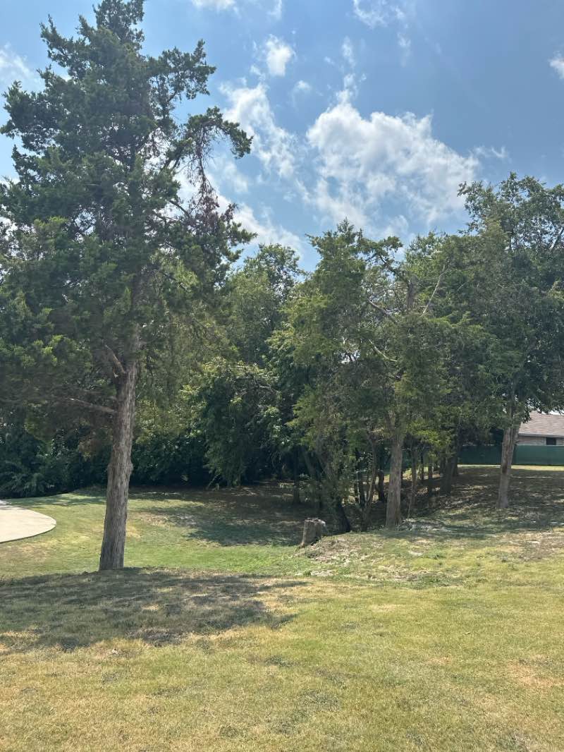 walking near me in Calf Pasture Park in autumn