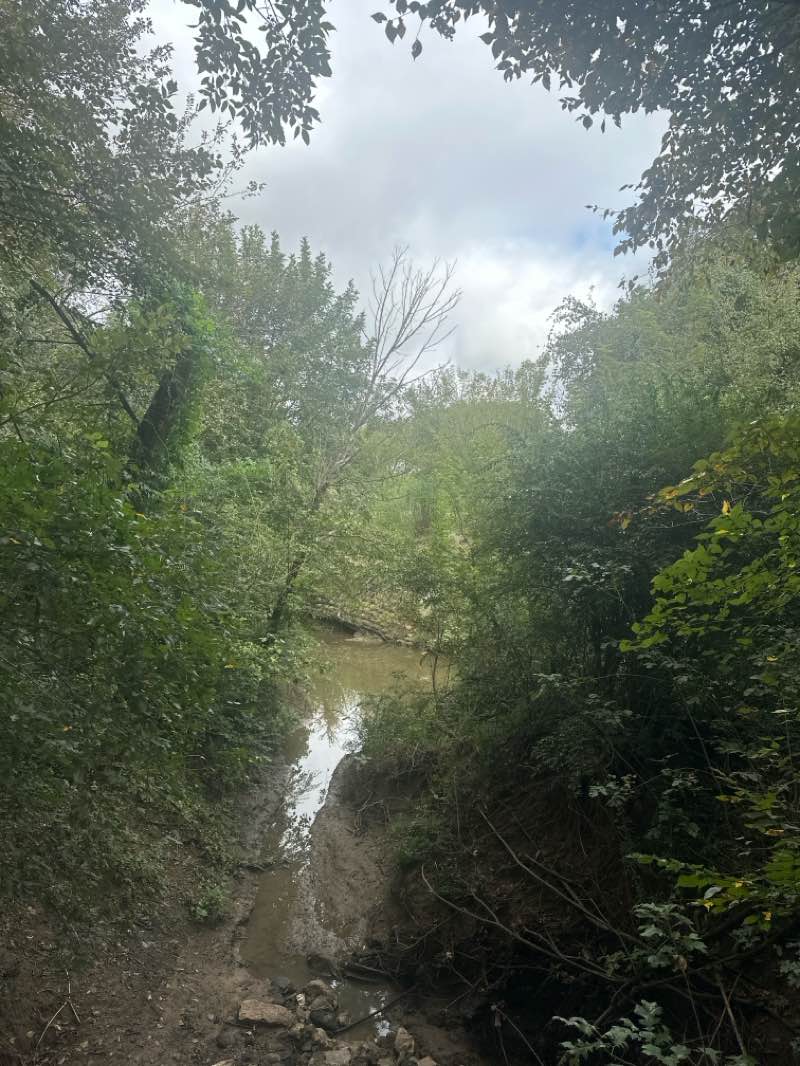 walking near me in Kathryn Rose Memorial Park in autumn