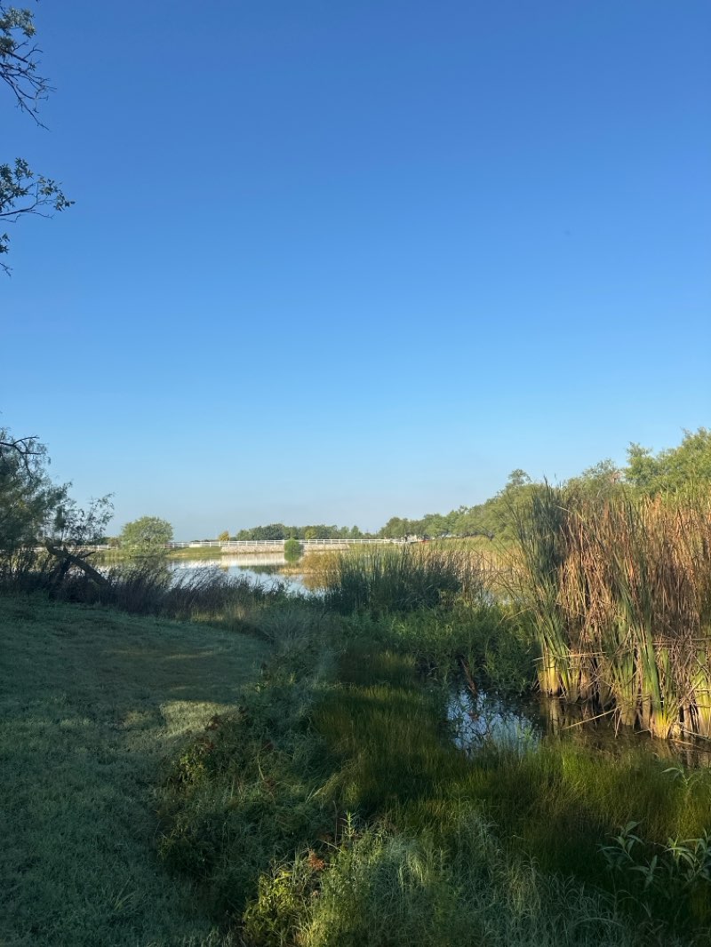 walking near me in Ridge View Park in autumn