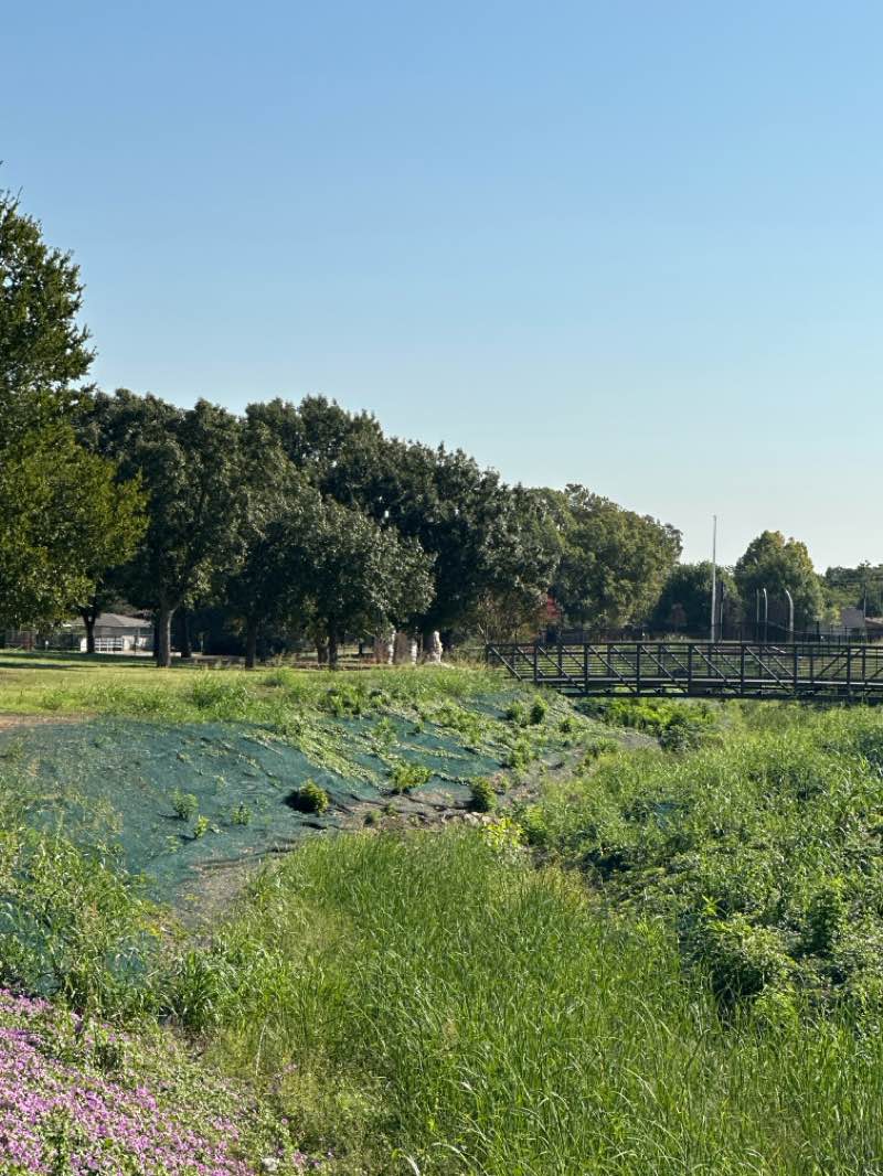 walking near me in Helen Wessler Park in autumn