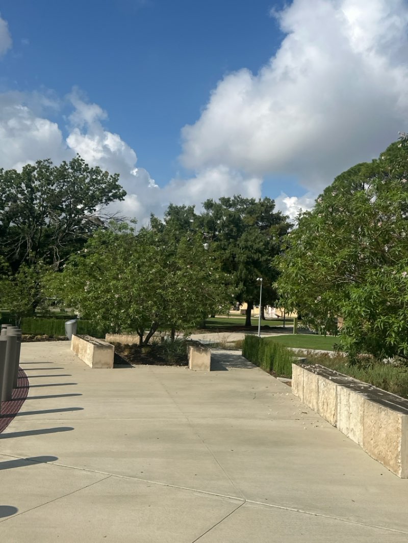 walking near me in City Hall Plaza in autumn