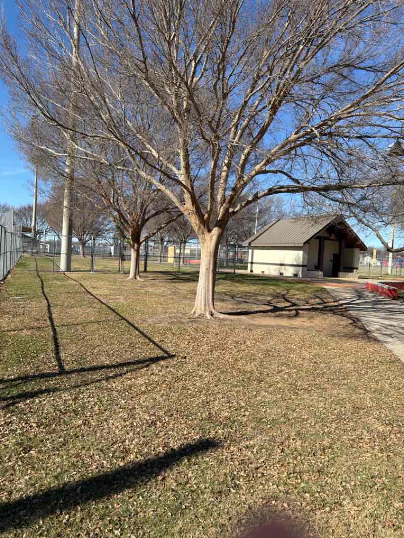 walking near me in Charley Taylor Park in winter