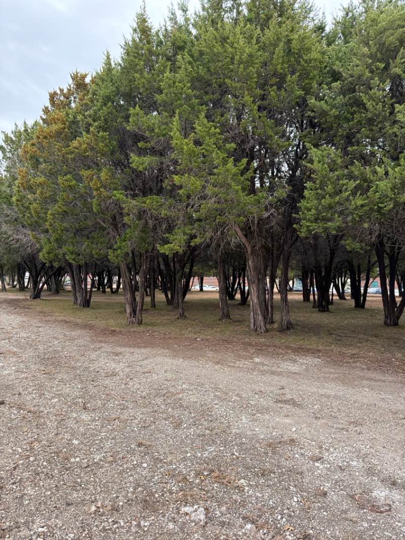 walking near me in J W Williams Park in winter