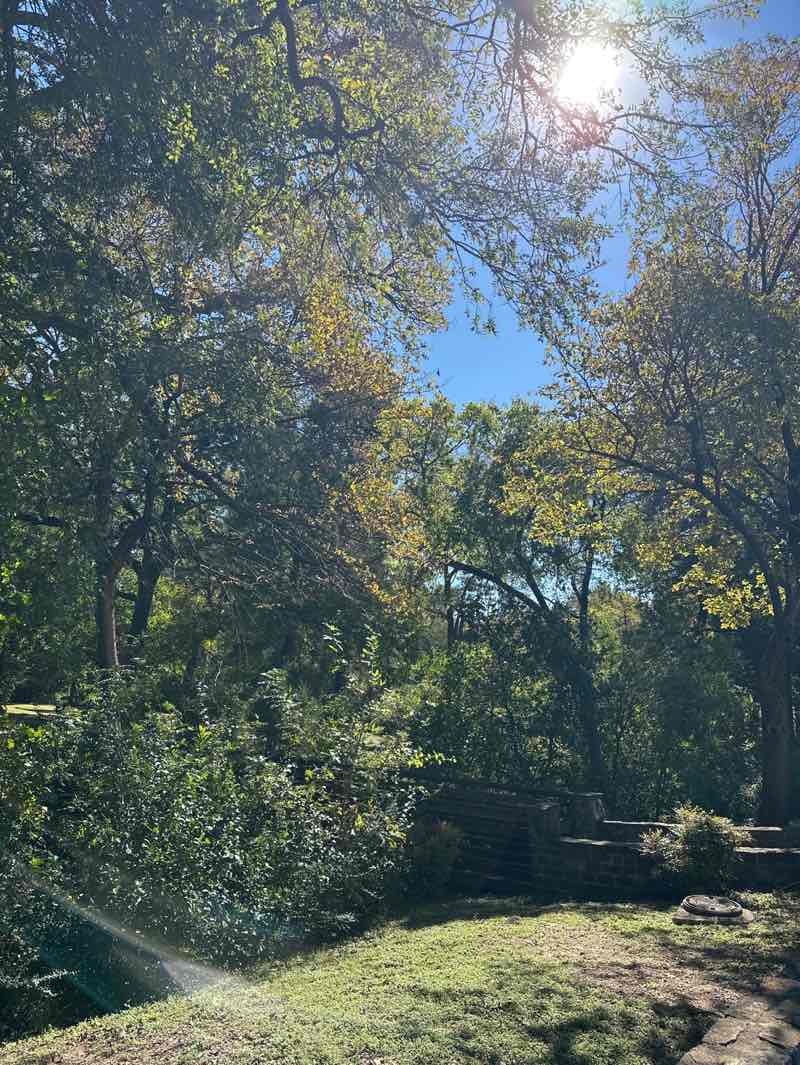walking near me in Lions Park in autumn
