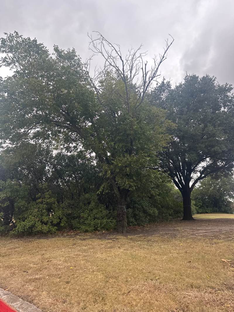 walking near me in Kirby Creek Nature Education Center in autumn