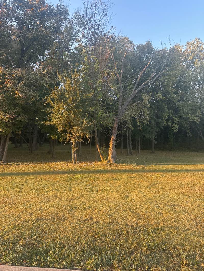 walking near me in Cedar Trails Greenbelt in autumn