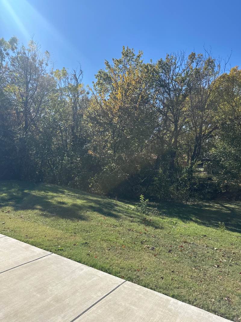 walking near me in Oriole Park in autumn