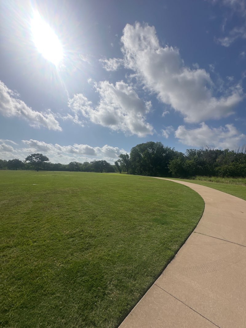 walking near me in Treepoint Park in summer