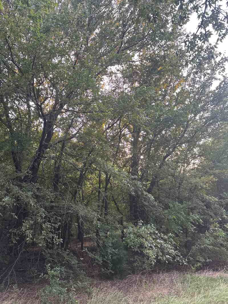 walking near me in Estes Park in autumn