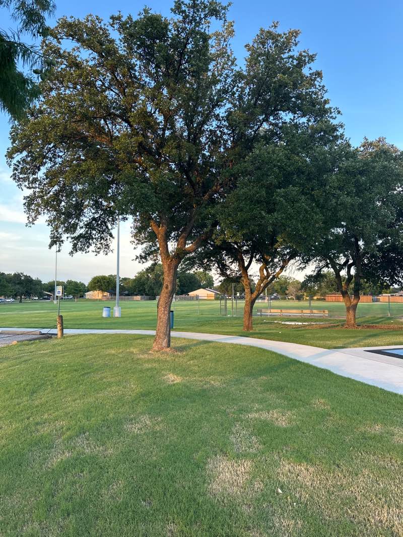 walking near me in Freedom Park in summer